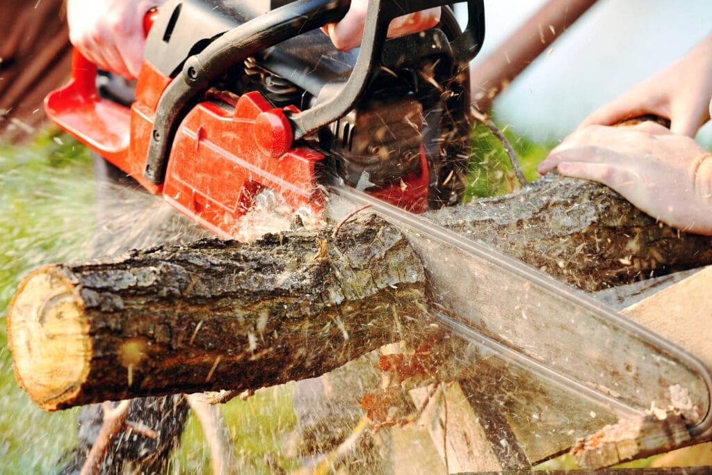 a beginner's guide to tree cutting equipment 1