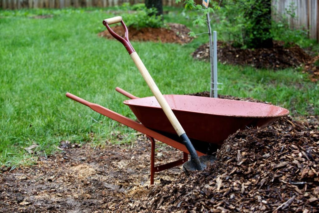 are there any risks associated with over mulching trees in melbourne 2