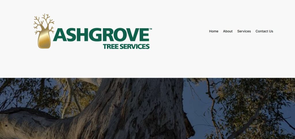 ashgrove tree services