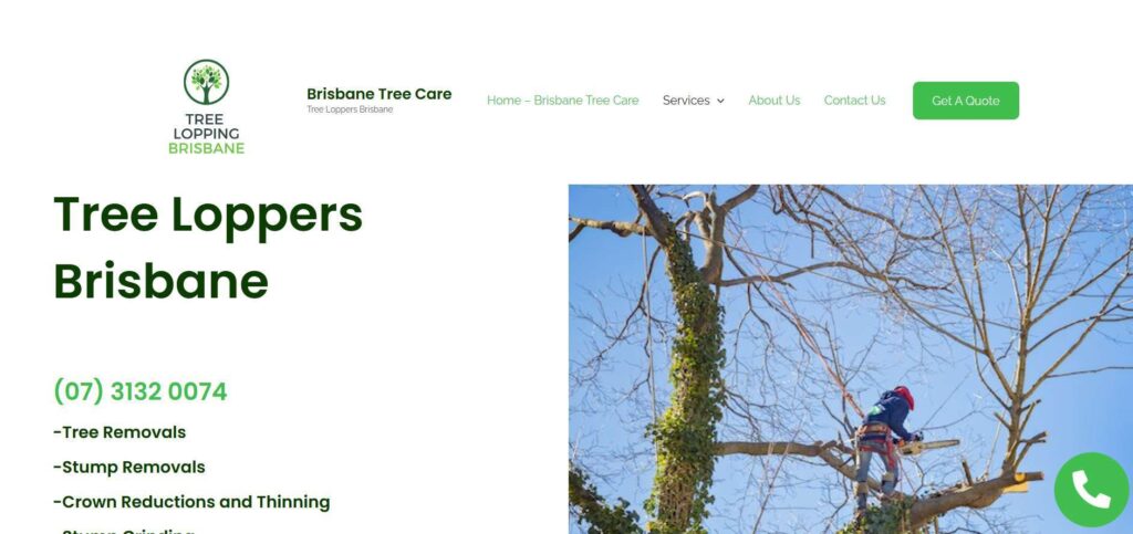 brisbane tree care