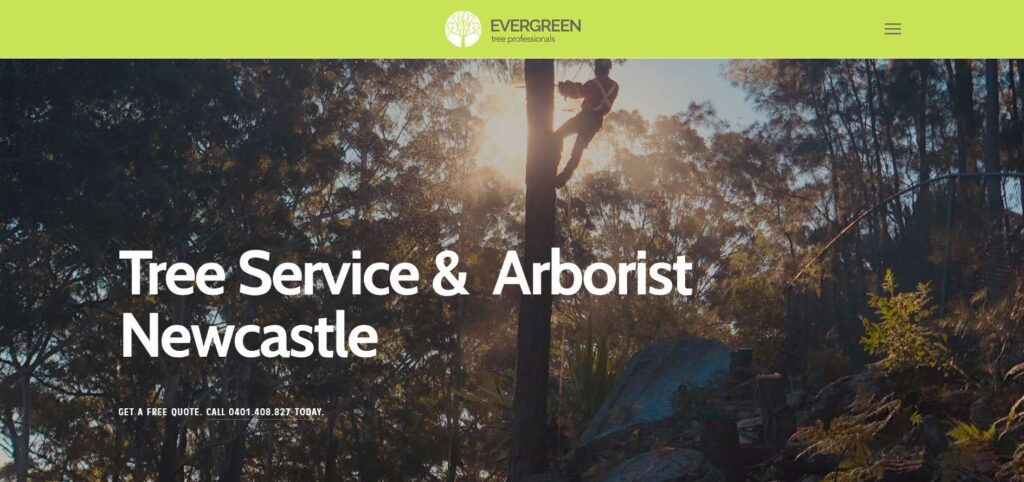 evergreen tree professionals