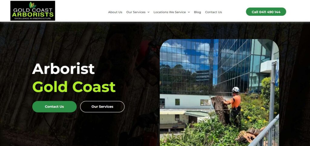 gold coast arborists tree removal services