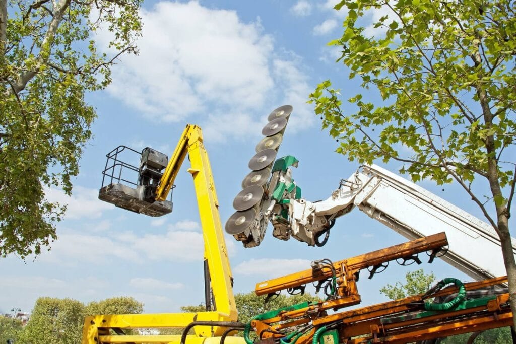 how often should tree lopping be done in residential areas 2