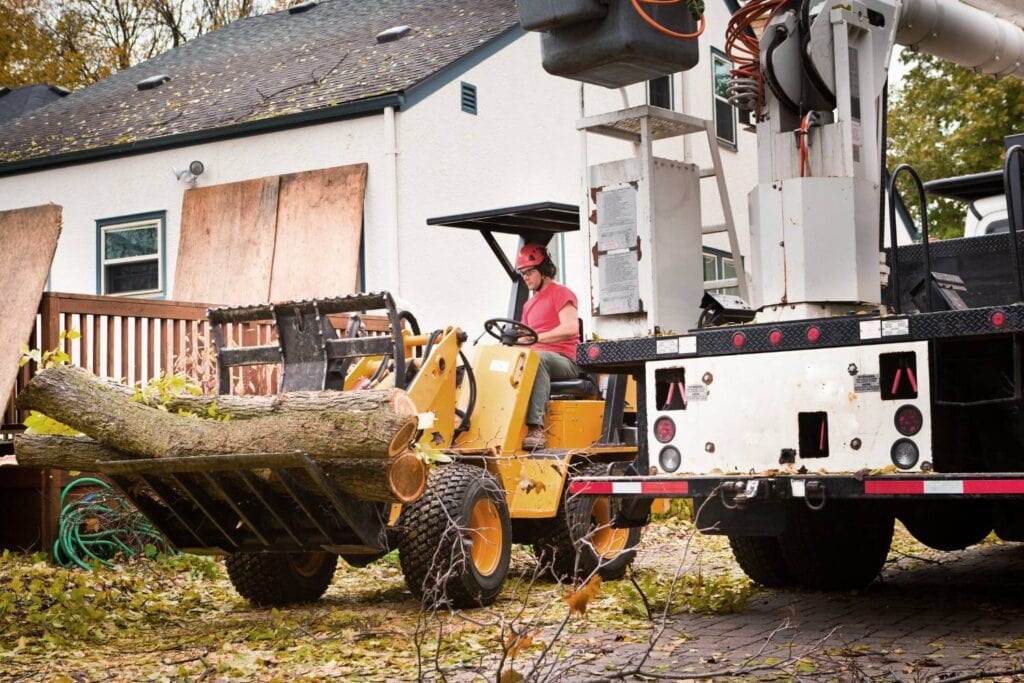 how to choose the right tree cutting service