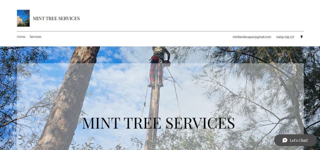 mint tree and landscape services