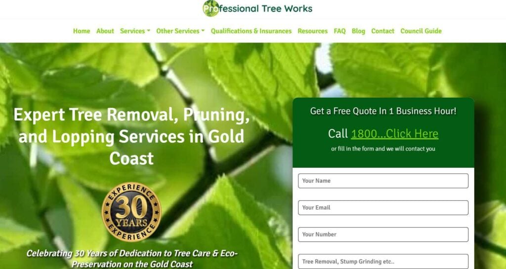 pro tree works gold coast