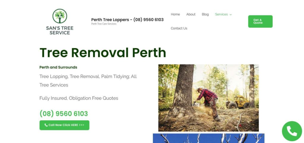 san’s tree services