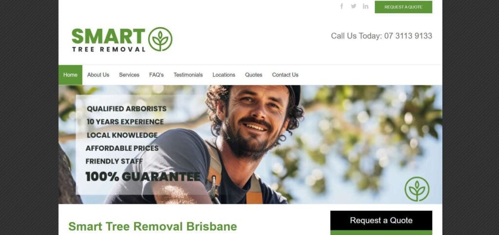 smart tree removal brisbane