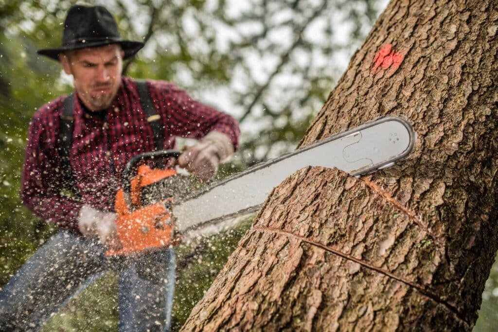 the ultimate guide to tree cutting techniques