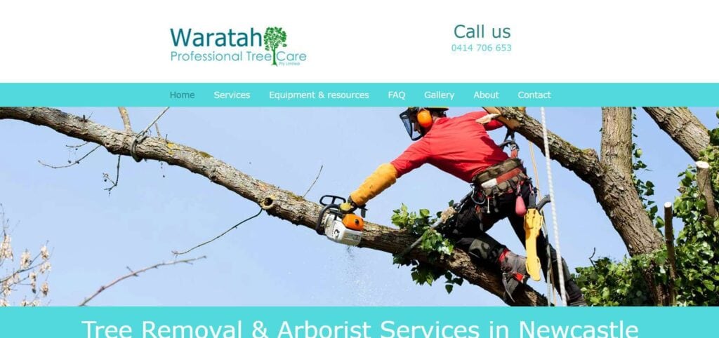 waratah professional tree care