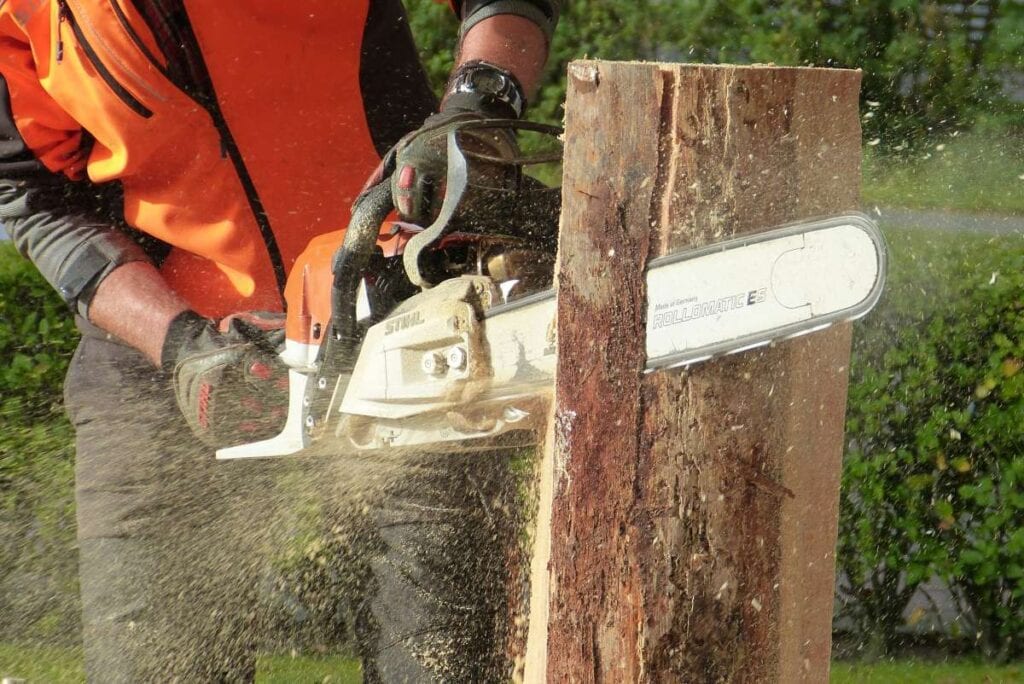 what are the benefits of stump grinding (2)