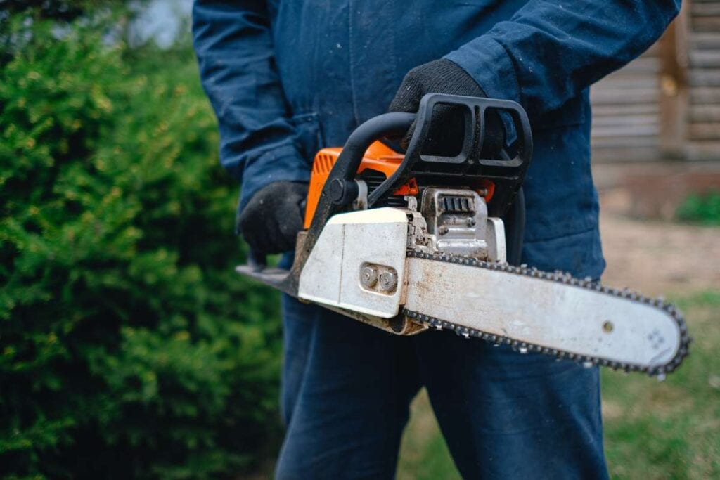 what are the benefits of stump grinding (3)