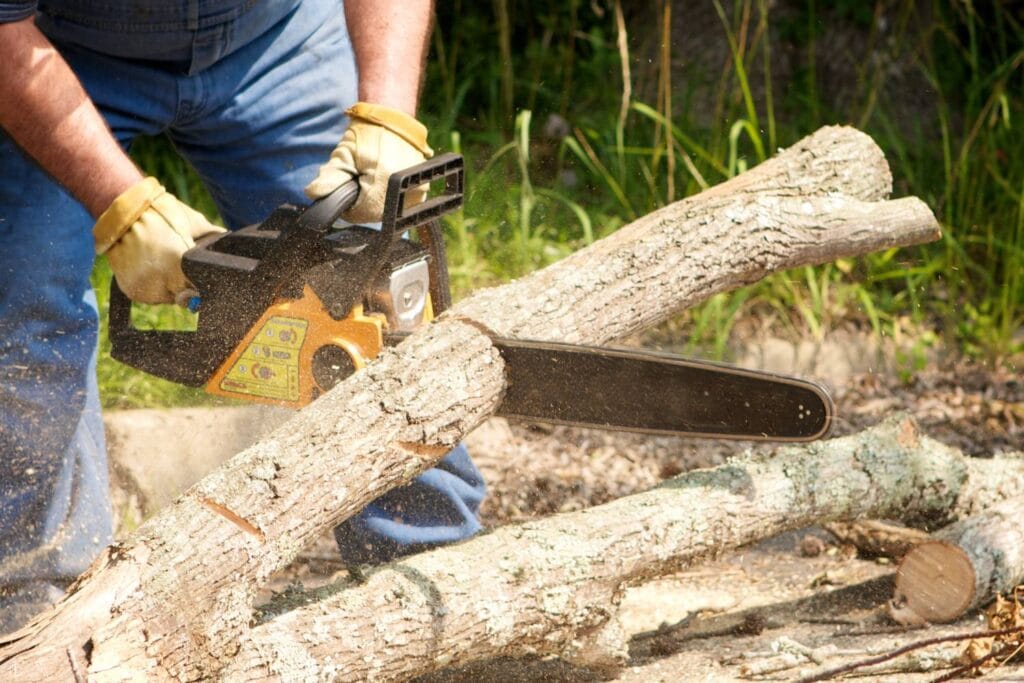 what are the essential skills for successful tree cutting 2