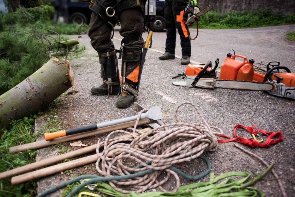 when is tree lopping most beneficial for commercial landscapes 1