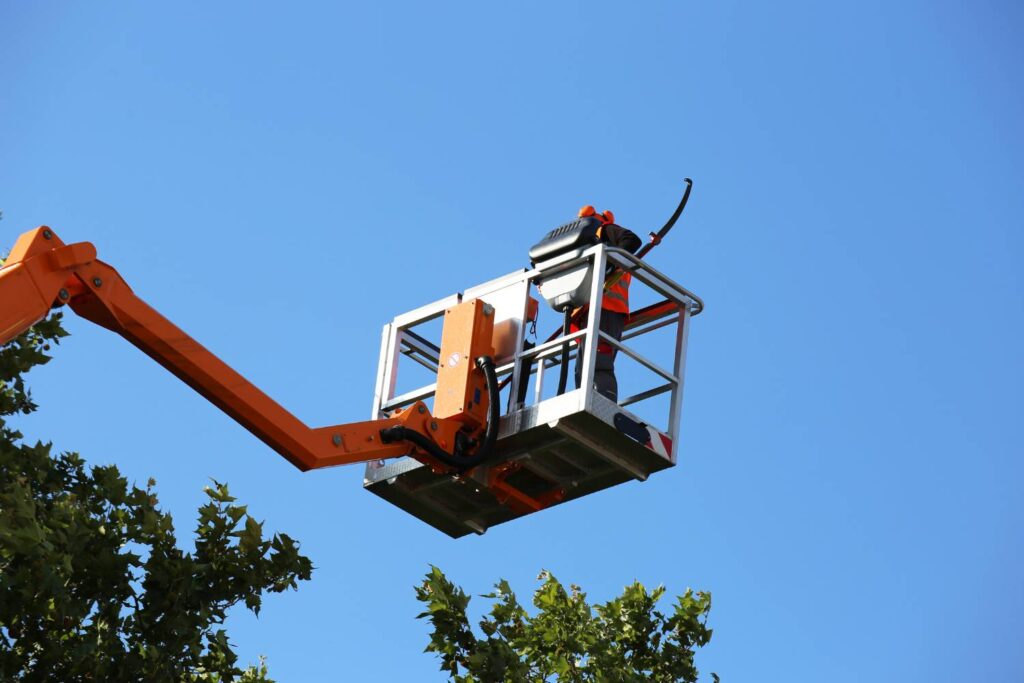 when is tree lopping most beneficial for commercial landscapes