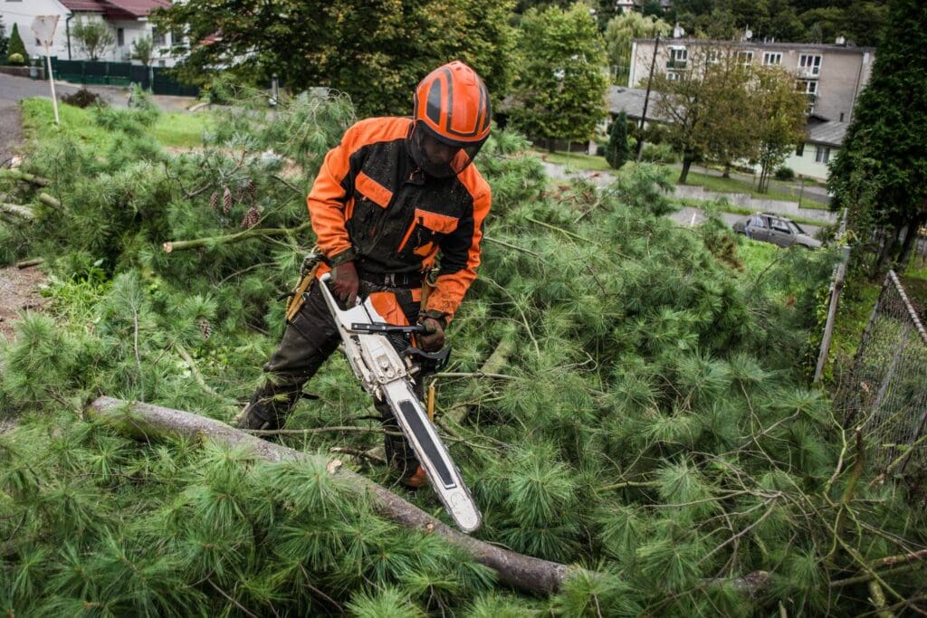 why is tree lopping important for reducing hazards in residential areas