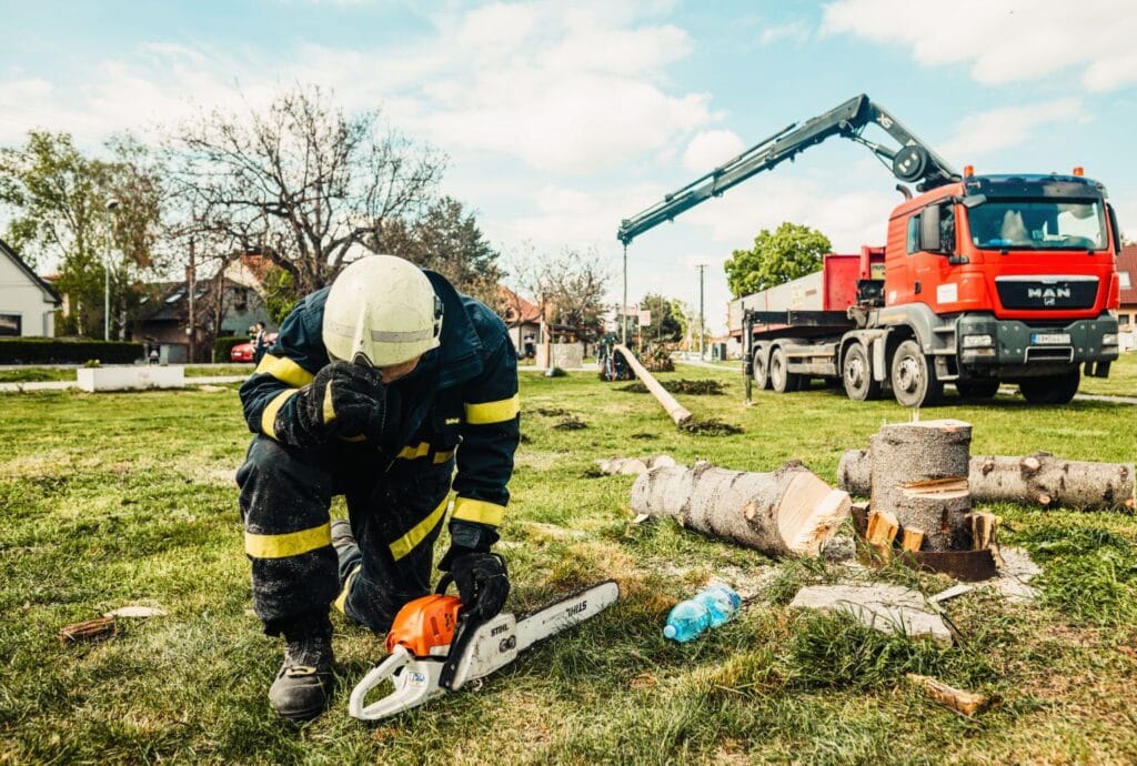 tree removal arborists canberra, act