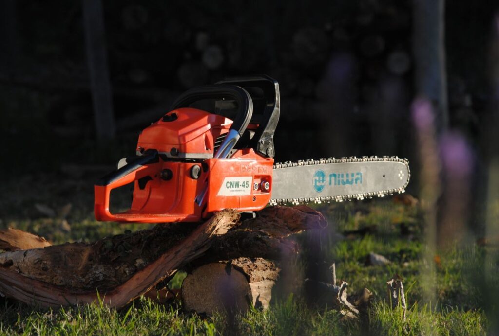 tree removal arborists darwin, northern territory