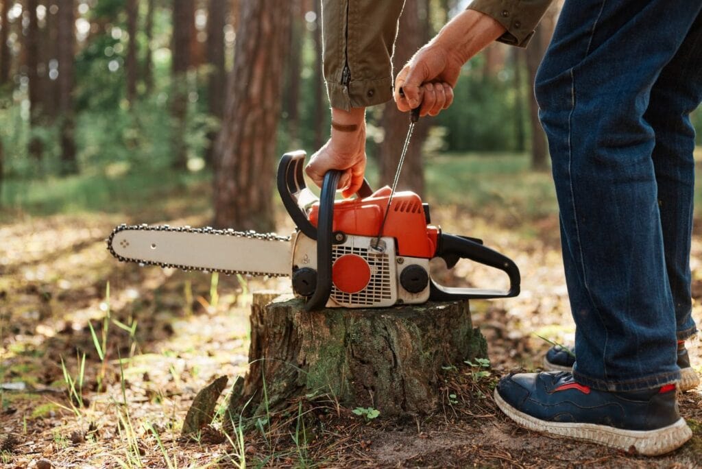 tree removal arborists sydney, new south wales